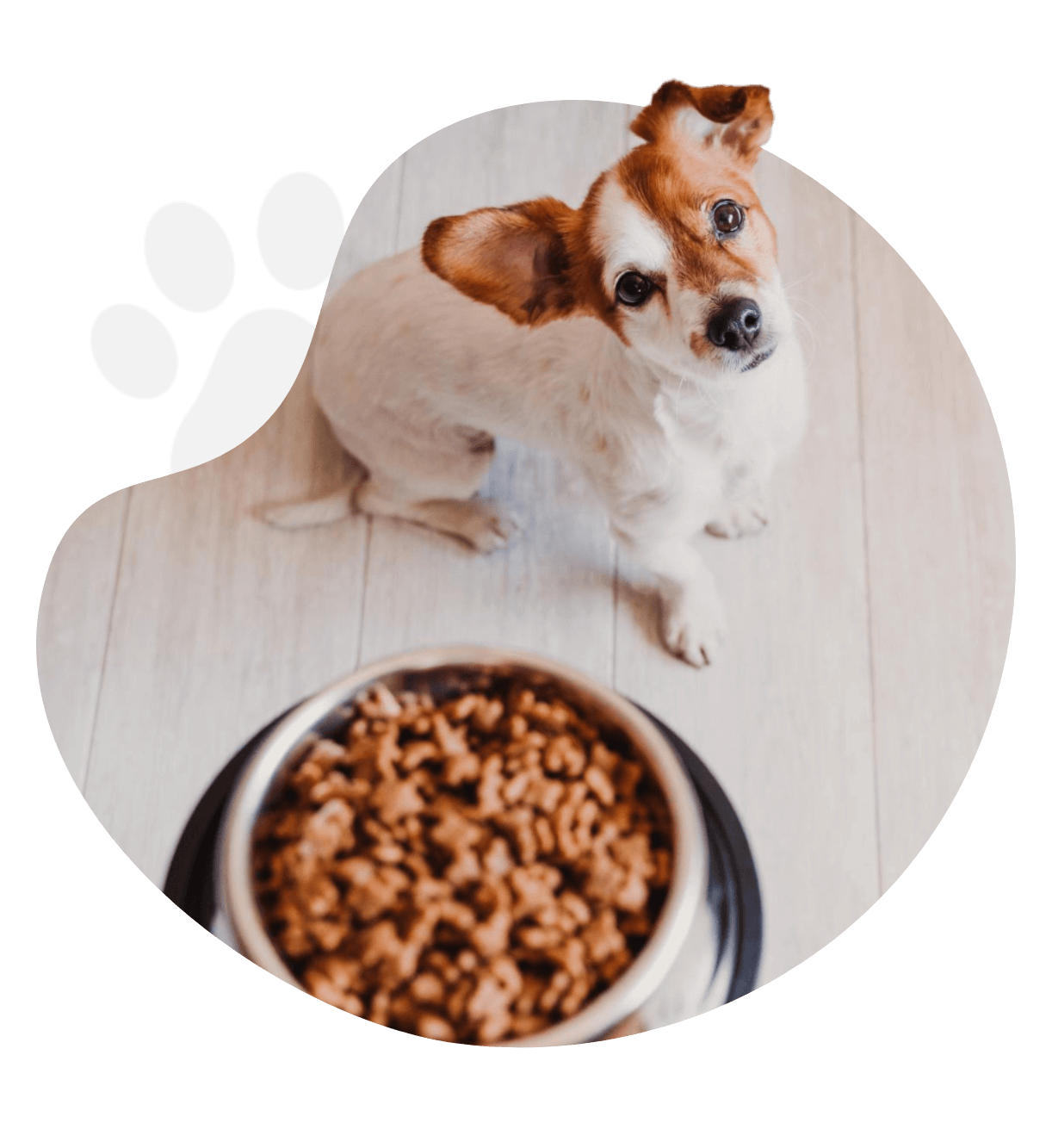 Nowy projekt - 2025-11-28T105407.205.png